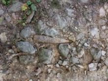 Znaleziono niewybuch na terenie gminy Brzeźnica prawdopodobnie z II wojny światowej
