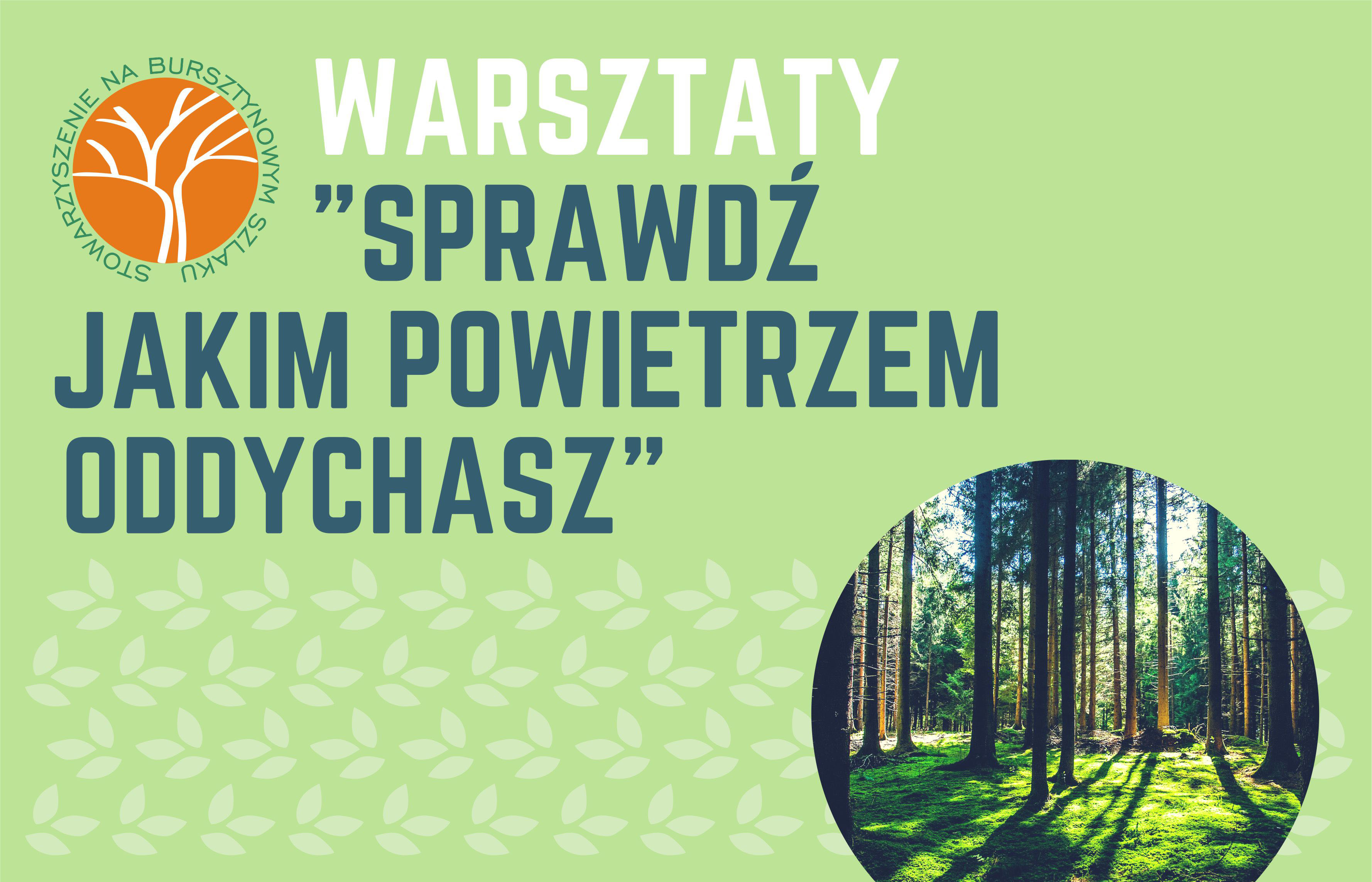 Warsztaty „Sprawdź jakim powietrzem oddychasz” w Stanisławiu Dolnym