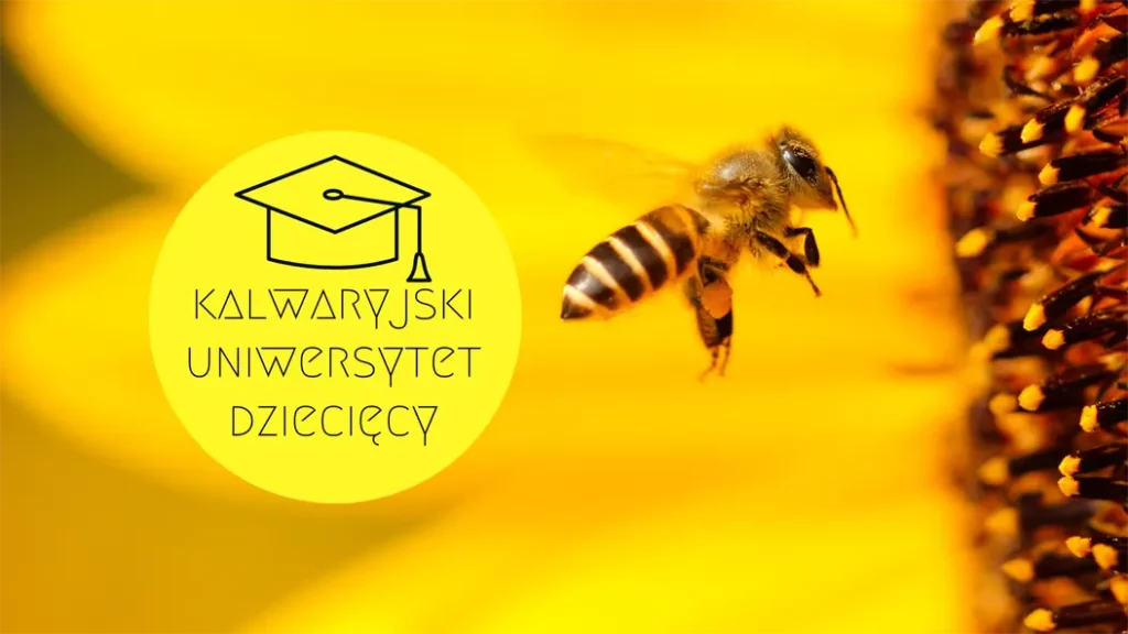 Kalwaryjski Uniwersytet Dziecięcy – Królestwo Pszczół