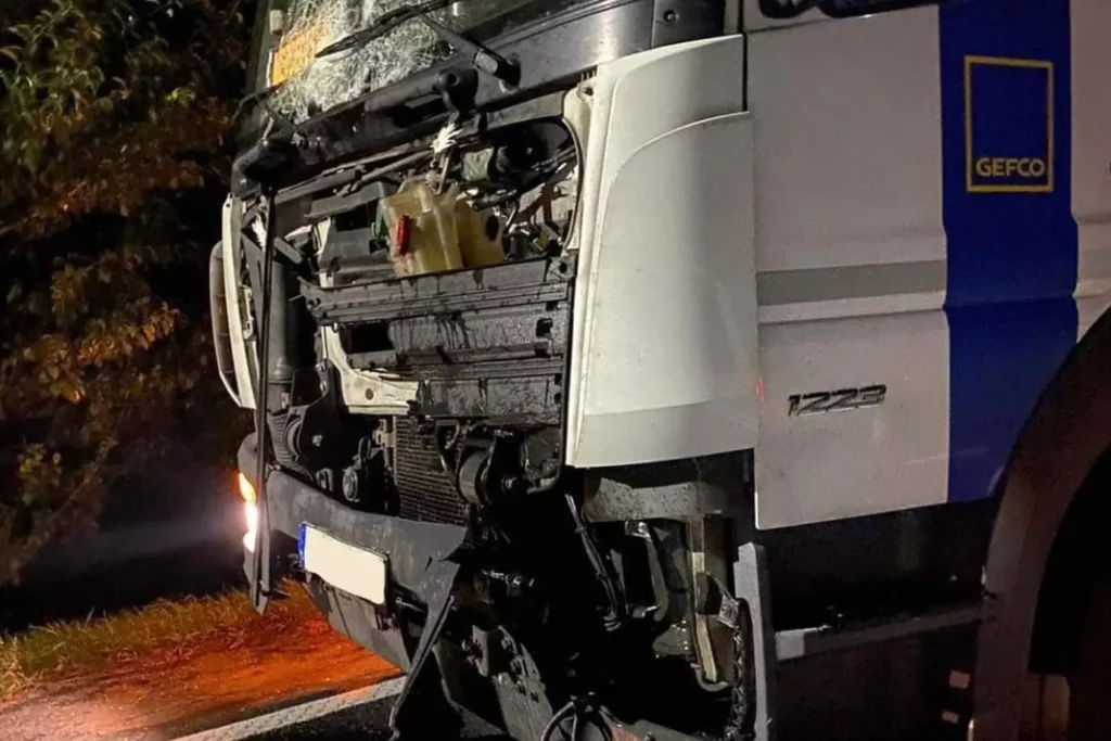 W nocy ciężarówka na Solcy zderzyła się z jeleniem