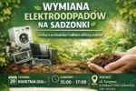 Mieszkańcy wymienią elektroodpady na sadzonki. Proekologiczna akcja już 20 kwietnia