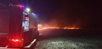 Pożar trawy w Brodach - 3 marca 2019 r. - fot. OSP Brody